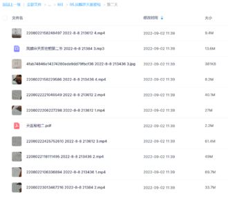 鳳麟宗天醫密相網盤分享