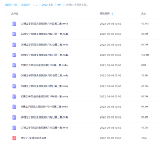 拂塵子微信頭像預測（音頻11集+課件）網盤分享