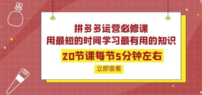 拼多多運營必修課：20節課每節5分鐘左右網盤分享