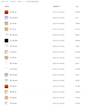 黃笛內部視頻89集網盤分享