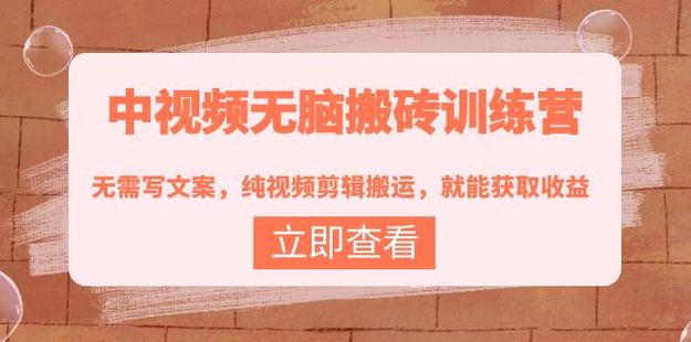 中視頻無腦搬磚訓(xùn)練營網(wǎng)盤分享