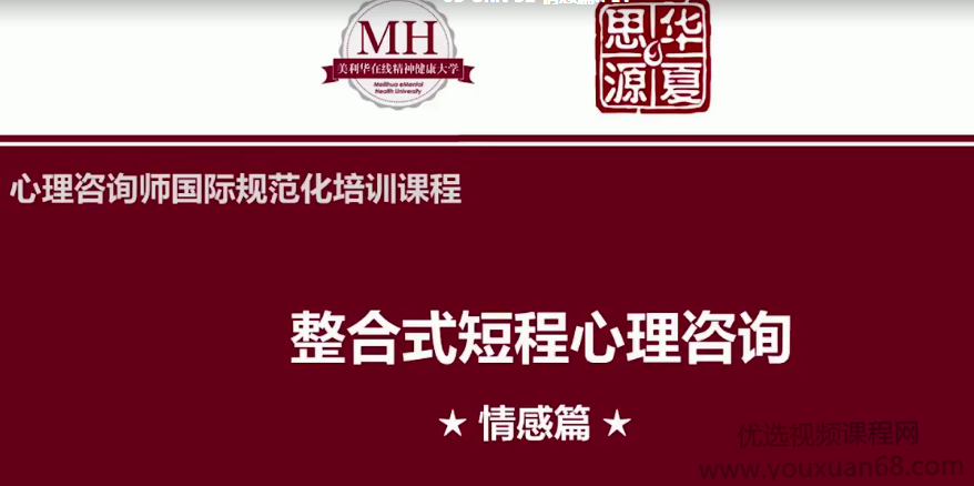 張道龍 心理咨詢師國際規范化培訓84個真實個案視頻與解析網盤分享