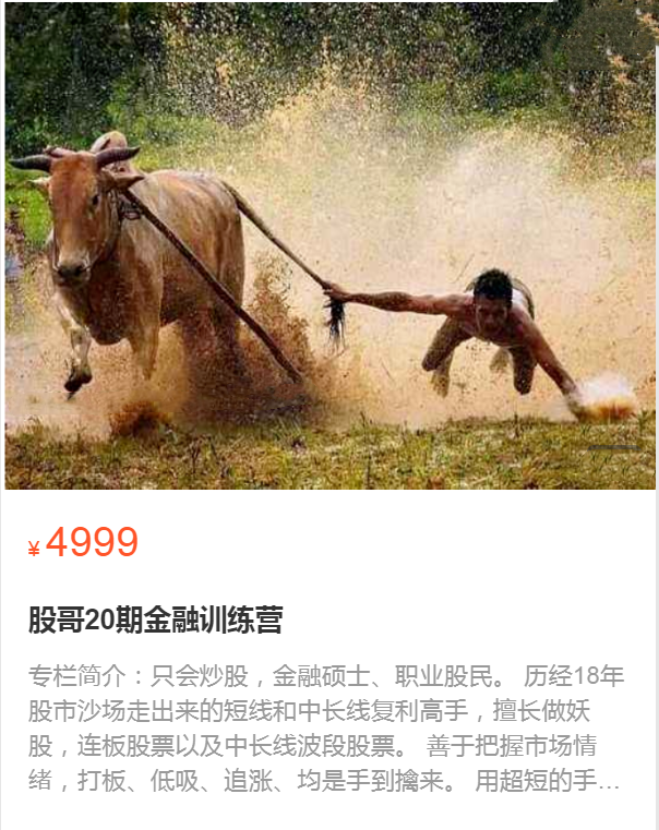 股哥訓練營 只會炒股第20期網盤分享