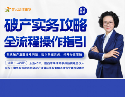 【法律上新】【智元】 《546 馬西蒙：破產(chǎn)實(shí)務(wù)攻略——全流程操作指引》