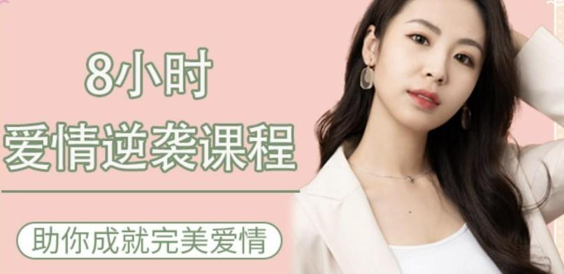 8小時愛情逆襲課程—助你成就完美愛情網盤分享插圖 8小時愛情逆襲課程—助你成就完美愛情網盤分享插圖