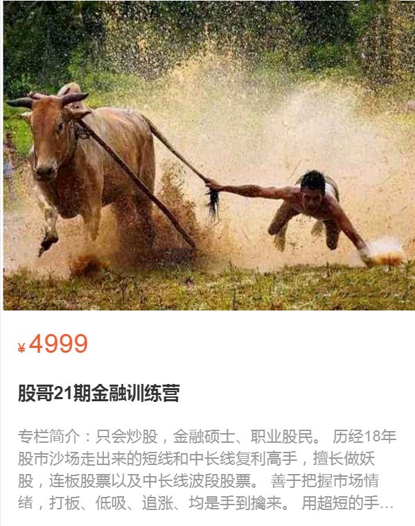 股哥訓練營 只會炒股第21期 2022網盤分享