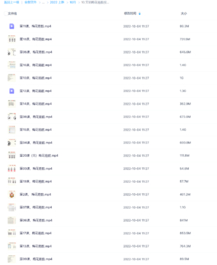 文玥梅花易數(shù)視頻課程20集