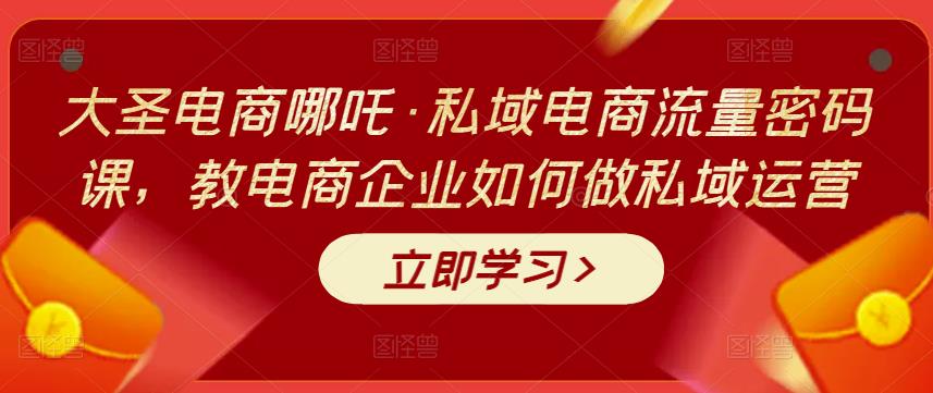 大圣電商哪吒?私域電商流量密碼課，教電商企業做私域運營網盤分享