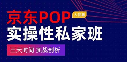 京東POP實操性私家班―大促篇，?三天時間實戰剖析網盤分享