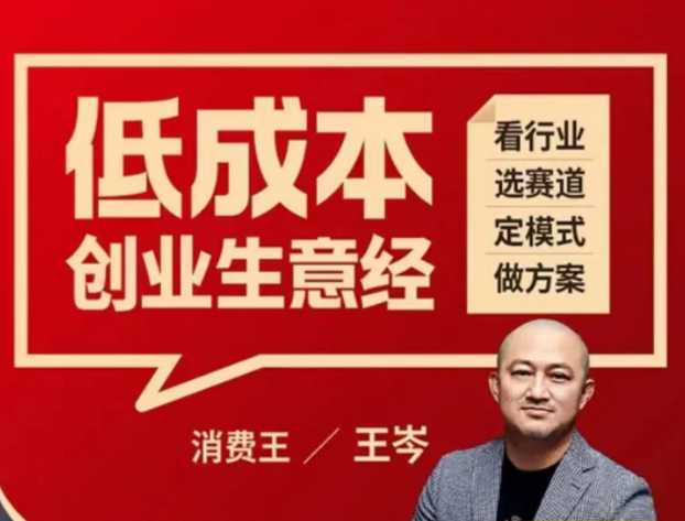 王岑:低成本創(chuàng)業(yè)生意經(jīng)網(wǎng)盤分享