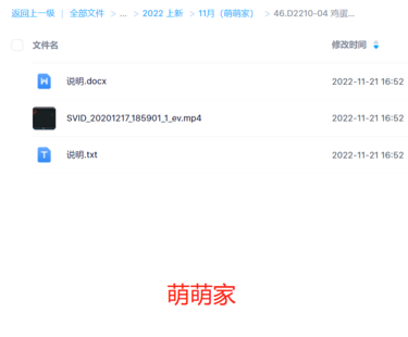 D2210-04 雞蛋收魂法，十二生肖開光
