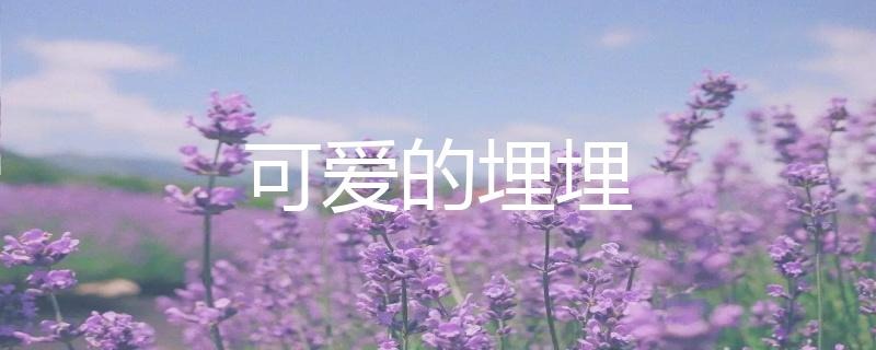 虎牙二次元聲控助眠主播可愛的埋埋人氣為什么這么高？