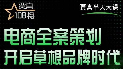 賈真老師的半天大課，電商全案策劃，開啟草根品牌時代網盤分享