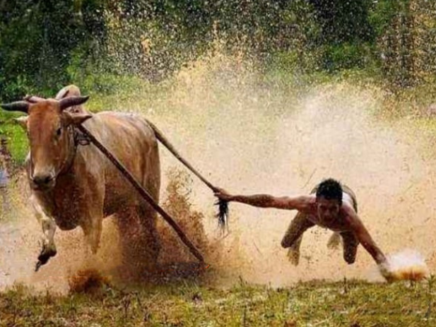 股哥訓(xùn)練營 只會(huì)炒股第22期