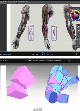 大木畫畫2022人體結(jié)構(gòu)第五期【畫質(zhì)不錯只有視頻】