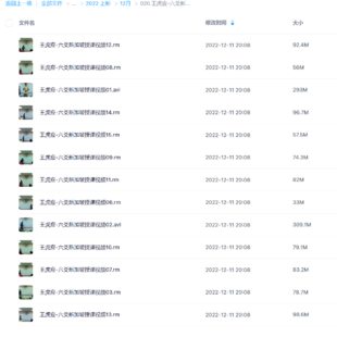 王虎應-六爻新加坡授課視頻1-15集(缺第4、5集)