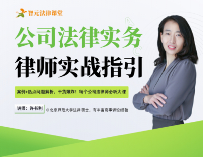 【法律上新】【智元】 《533 許書利公司法律實(shí)務(wù)：律師實(shí)戰(zhàn)指引》