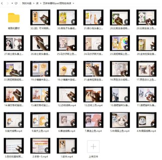 藝琳2022零基礎ipad寵物繪畫課【畫質高清有筆刷素材】