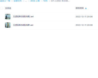 王虎應(yīng)-新加坡講課