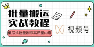 視頻號批量搬運實戰操作運營賺錢教程，傻瓜式批量制作高質量內容【附視頻教程+PPT】插圖