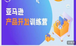 亞馬遜產品開發訓練營，能爆單的產品開發方法百度網盤插圖
