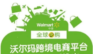 跨境電商沃爾瑪平臺-從0基礎到入門，沃爾瑪跨境紅利新玩法百度網盤插圖