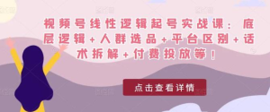 視頻號線性邏輯起號實戰課：底層邏輯+人群選品+平臺區別+話術拆解+付費投放等插圖