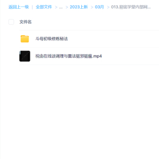 易銘學堂內部網課實訓雷法實操