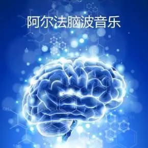 1000首阿爾法A腦波功能音樂百度網(wǎng)盤