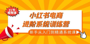 小紅書電商新手入門到精通實操課，從入門到精通做爆款筆記百度網(wǎng)盤插圖
