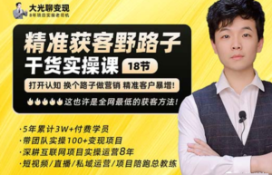 楊光?精準獲客野路子，黑科技快速獲取精準客戶百度網盤插圖