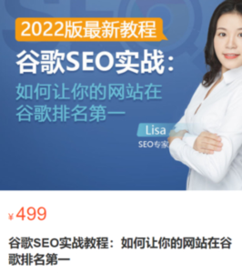 谷歌SEO實戰教程：谷歌排名第一秘籍，內容從入門到高階百度網盤插圖
