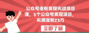 公眾號漲粉變現(xiàn)實(shí)戰(zhàn)項(xiàng)目課，5個公眾號變現(xiàn)，漲粉23萬百度網(wǎng)盤插圖