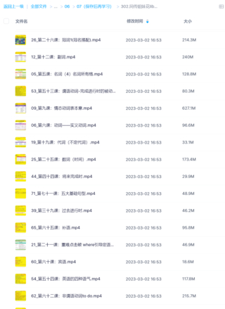 同傳姐妹花lib英語(yǔ)語(yǔ)法零基礎(chǔ)到精通