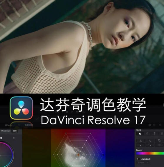 舞光弄影達(dá)芬奇調(diào)色教學(xué)DaVinci Resolve17速成教學(xué)大師指南課百度網(wǎng)盤
