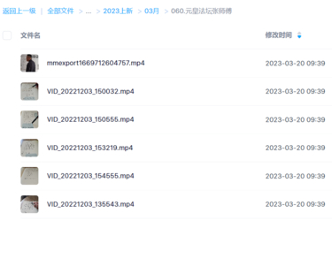 元皇法壇張師傅