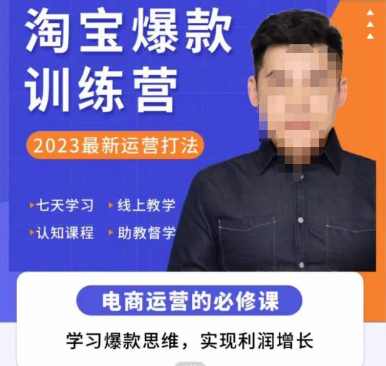 愛上黃昏?淘寶爆款訓練營，2023最新運營打法，學習爆款思維實現利潤增長