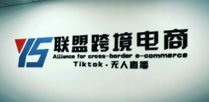 YS聯盟?Tiktok無人直播，不出鏡不剪輯不拍攝不發貨無售后的跨境短視頻插圖