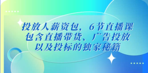 三里屯?投放人薪資包，6節(jié)直播課，直播帶貨、廣告投放獨家秘籍百度網(wǎng)盤插圖