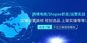 跨境電商Shopee蝦皮運營實操直播課（10節(jié)系統(tǒng)課）百度網盤插圖