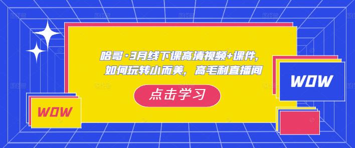 哈哥?3月線下實操課高清視頻+課件，如何玩轉小而美高毛利直播間百度網盤