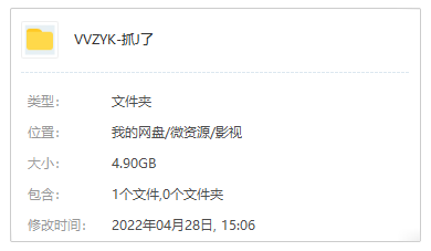波蘭劇《抓緊了》高清1080P中字
