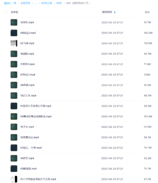 《秘傳盲派八字》視頻16集