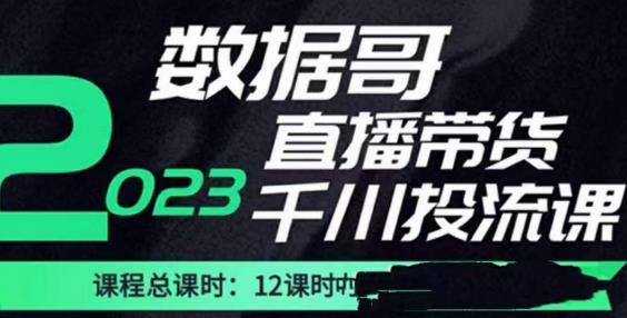 數據哥2023直播電商巨量千川付費投流課，掌握直播帶貨運營投放策略百度網盤