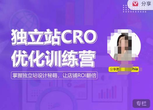 獨立站CRO優化訓練營，掌握獨立站設計，打造高轉化獨立站，讓店鋪ROI翻倍百度網盤