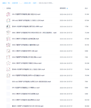 東靈易占天星風水河洛理氣16集視頻