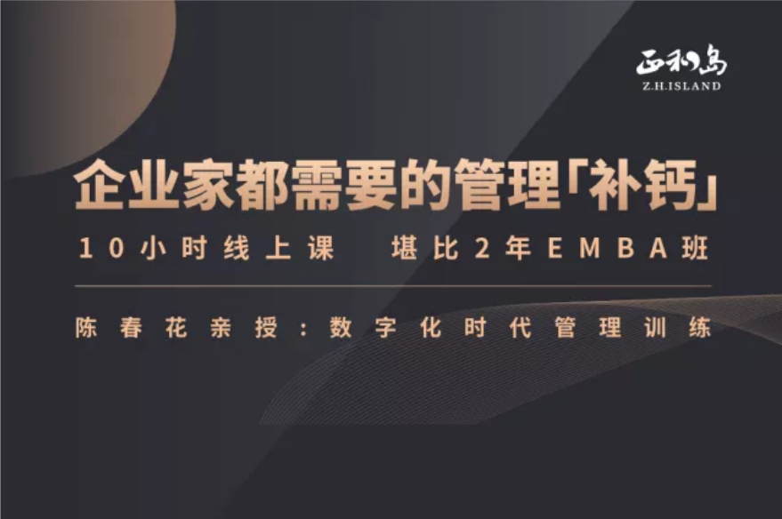 陳春花《數(shù)字化時代的管理訓練》（30年管理智慧）20集百度網(wǎng)盤