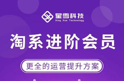 星雪?淘系進階課程，快速提升突破技能流量瓶頸必備百度網(wǎng)盤