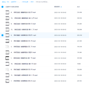 易小生 梅花易數直播課程13集