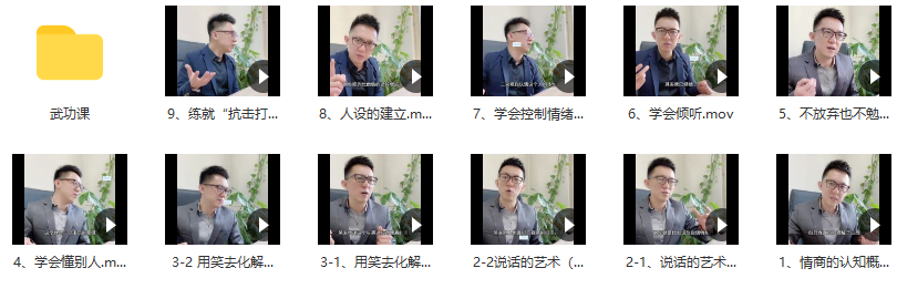 程野業哥情商武功課百度網盤